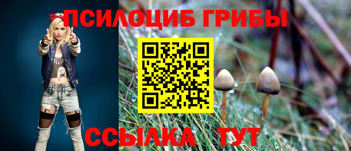 Псилоцибиновые грибы Cubensis Туймазы
