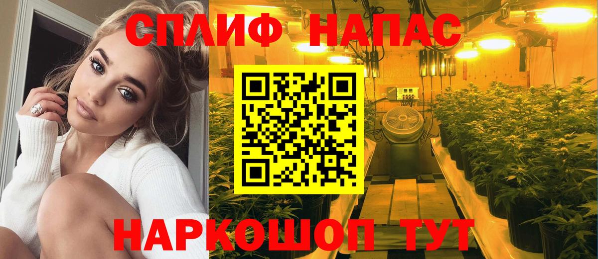 Шишки марихуана Bruce Banner  Каннабис ГИДРОПОН  Туймазы  МАРИХУАНА конопля  Вход с VPN  Бошки Шишки марихуана 